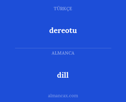 dill - dereotu