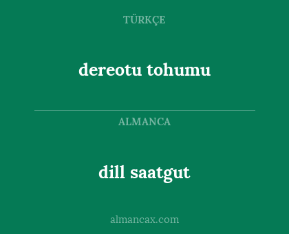 dereotu tohumu - dill saatgut