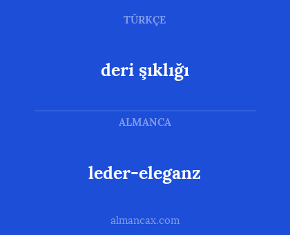 deri şıklığı - leder-eleganz