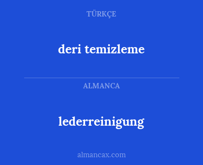 lederreinigung - deri temizleme