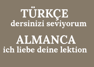 dersinizi+seviyorum-ich+liebe+deine+lektion.png