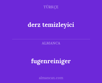 fugenreiniger - derz temizleyici