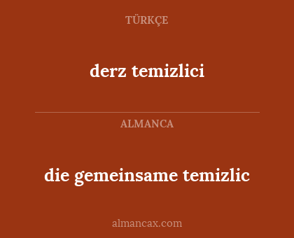 derz temizlici - die gemeinsame temizlic