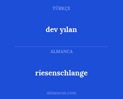 dev yılan - riesenschlange