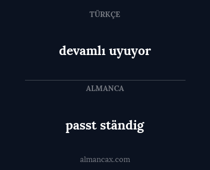passt ständig - devamlı uyuyor