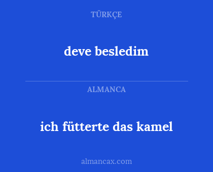 deve besledim - ich fütterte das kamel