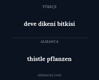 deve dikeni bitkisi - thistle pflanzen