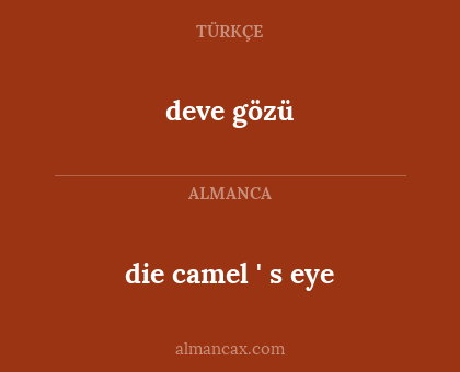 die camel ' s eye - deve gözü