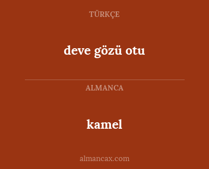 kamel - deve gözü otu