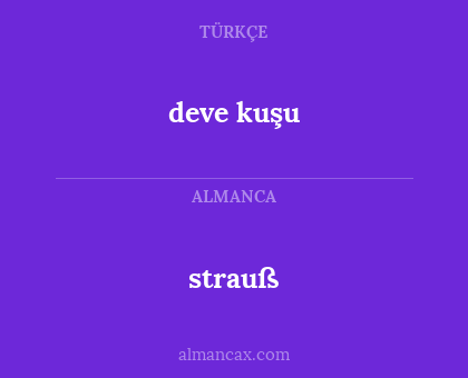 deve kuşu - strauß