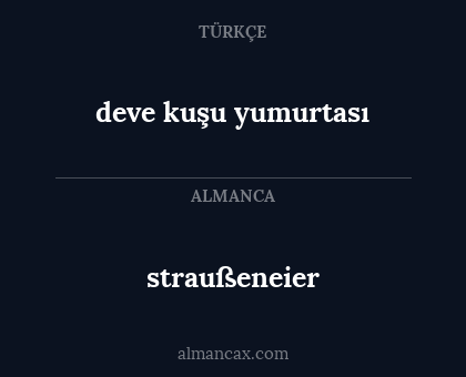 deve kuşu yumurtası - straußeneier