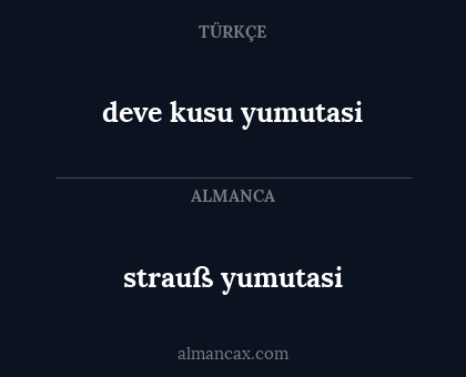 strauß yumutasi - deve kusu yumutasi