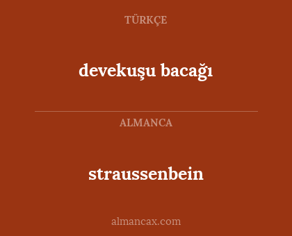 devekuşu bacağı - straussenbein