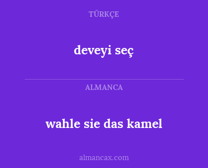 wahle sie das kamel - deveyi seç