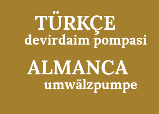 devirdaim+pompasi-umw%C3%A4lzpumpe.png