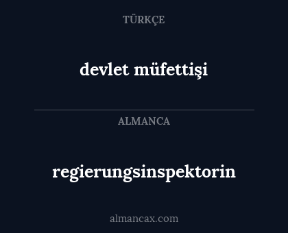 devlet müfettişi - regierungsinspektorin