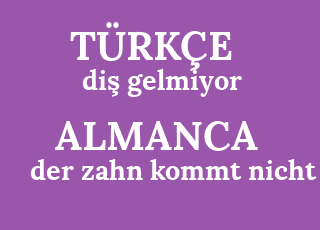 di%C5%9F+gelmiyor-der+zahn+kommt+nicht.png