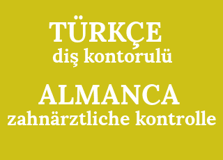 di%C5%9F+kontorul%C3%BC-zahn%C3%A4rztliche+kontrolle.png