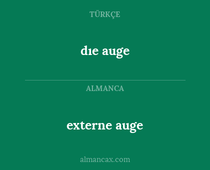 dıe auge - externe auge