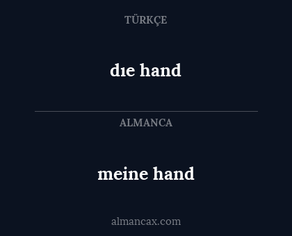 dıe hand - meine hand