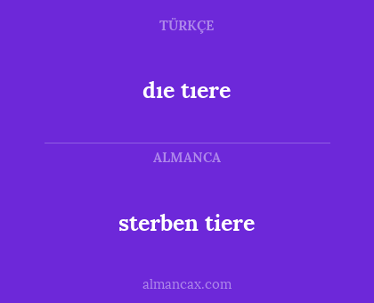 sterben tiere - dıe tıere