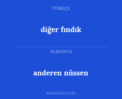 anderen nüssen - diğer fındık