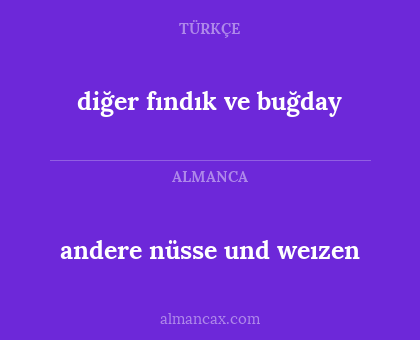 andere nüsse und weızen - diğer fındık ve buğday
