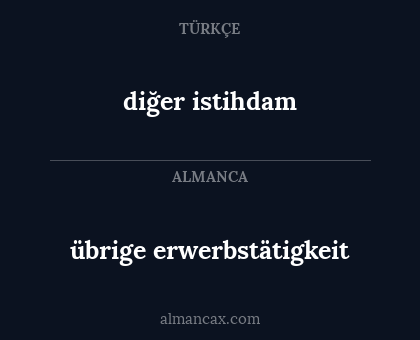 diğer istihdam - übrige erwerbstätigkeit