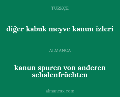 diğer kabuk meyve kanun izleri - kanun spuren von anderen schalenfrüchten