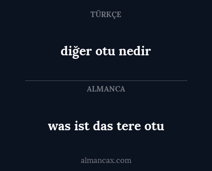 diğer otu nedir - was ist das tere otu