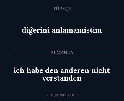 diğerini anlamamistim - ich habe den anderen nicht verstanden