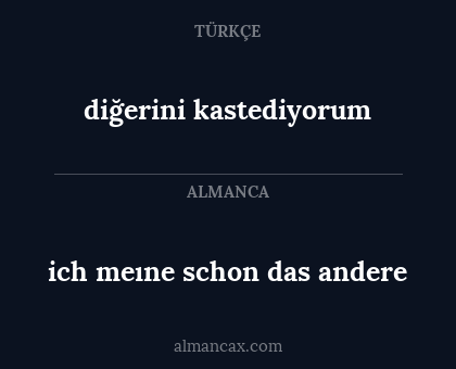 diğerini kastediyorum - ich meıne schon das andere