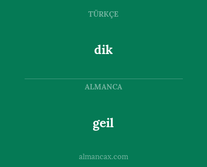 geil - dik