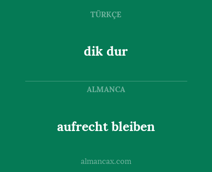 dik dur - aufrecht bleiben