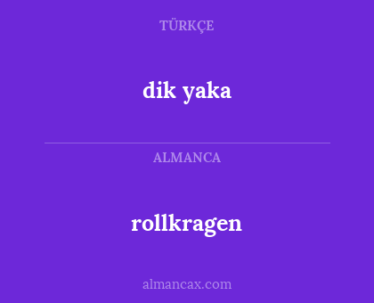 dik yaka - rollkragen
