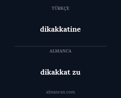 dikakkatine - dikakkat zu