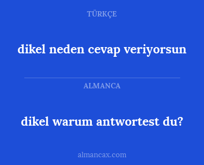 dikel warum antwortest du? - dikel neden cevap veriyorsun
