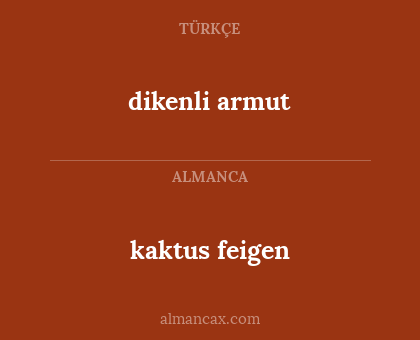 dikenli armut - kaktus feigen