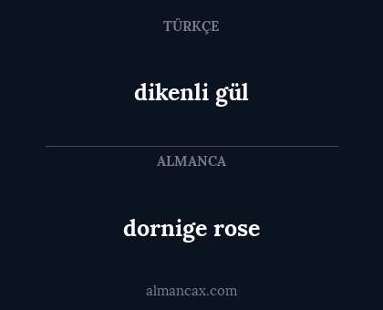 dikenli gül - dornige rose