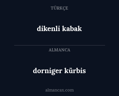 dikenli kabak - dorniger kürbis