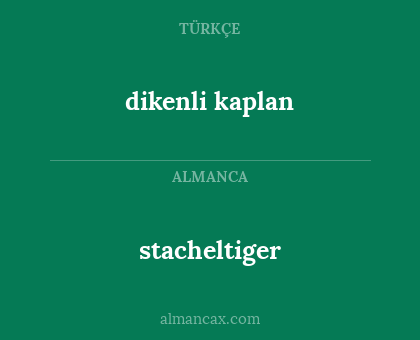 stacheltiger - dikenli kaplan