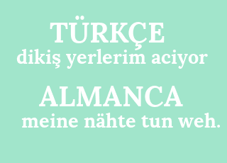 diki%C5%9F+yerlerim+aciyor-meine+n%C3%A4hte+tun+weh..png