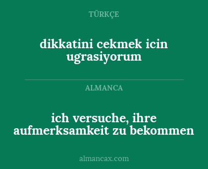 ich versuche, ihre aufmerksamkeit zu bekommen - dikkatini cekmek icin ugrasiyorum