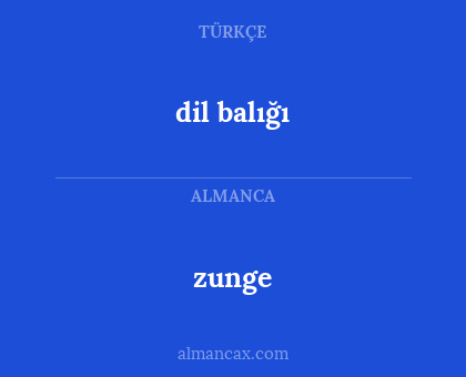 zunge - dil balığı