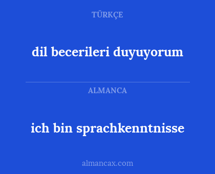 ich bin sprachkenntnisse - dil becerileri duyuyorum