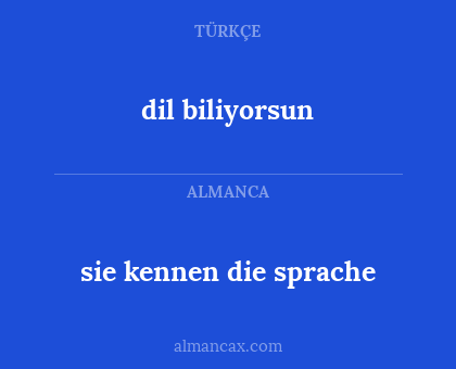 dil biliyorsun - sie kennen die sprache