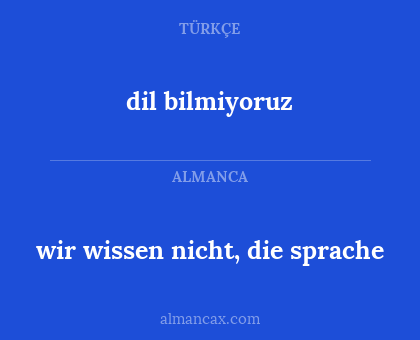 dil bilmiyoruz - wir wissen nicht, die sprache