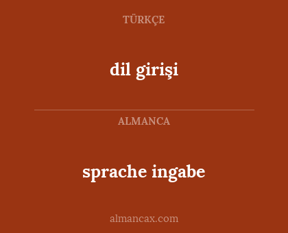 sprache ingabe - dil girişi