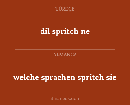 dil spritch ne - welche sprachen spritch sie