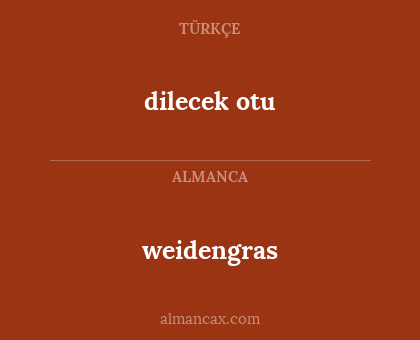 dilecek otu - weidengras